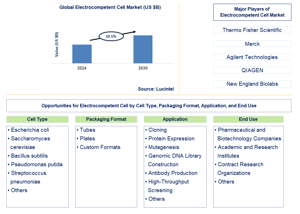 Electrocompetent Cell Trends and Forecast